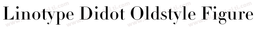 Linotype Didot Oldstyle Figures RomanI字体转换